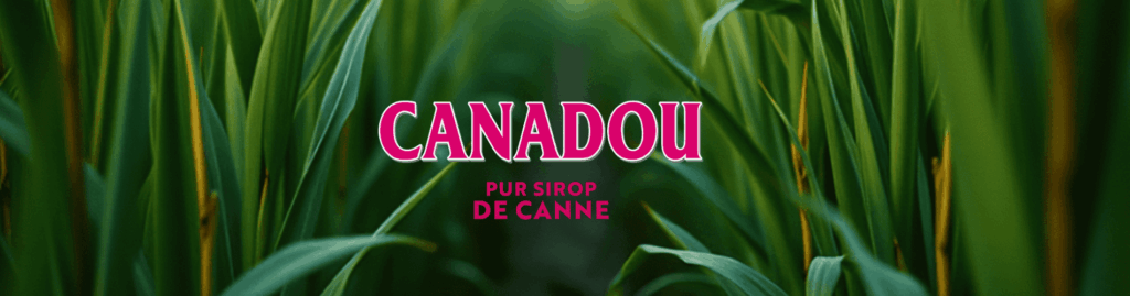 Canadou pur sucre de canne